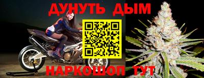 PSILOCYBIN Севастополь