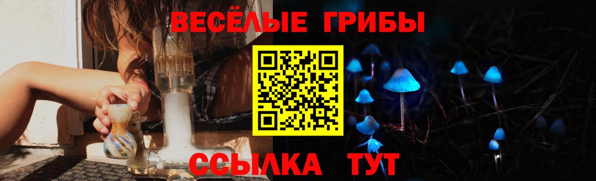 где купить наркоту  Вход с VPN  Новотроицк  Галлюциногенные грибы мухоморы 